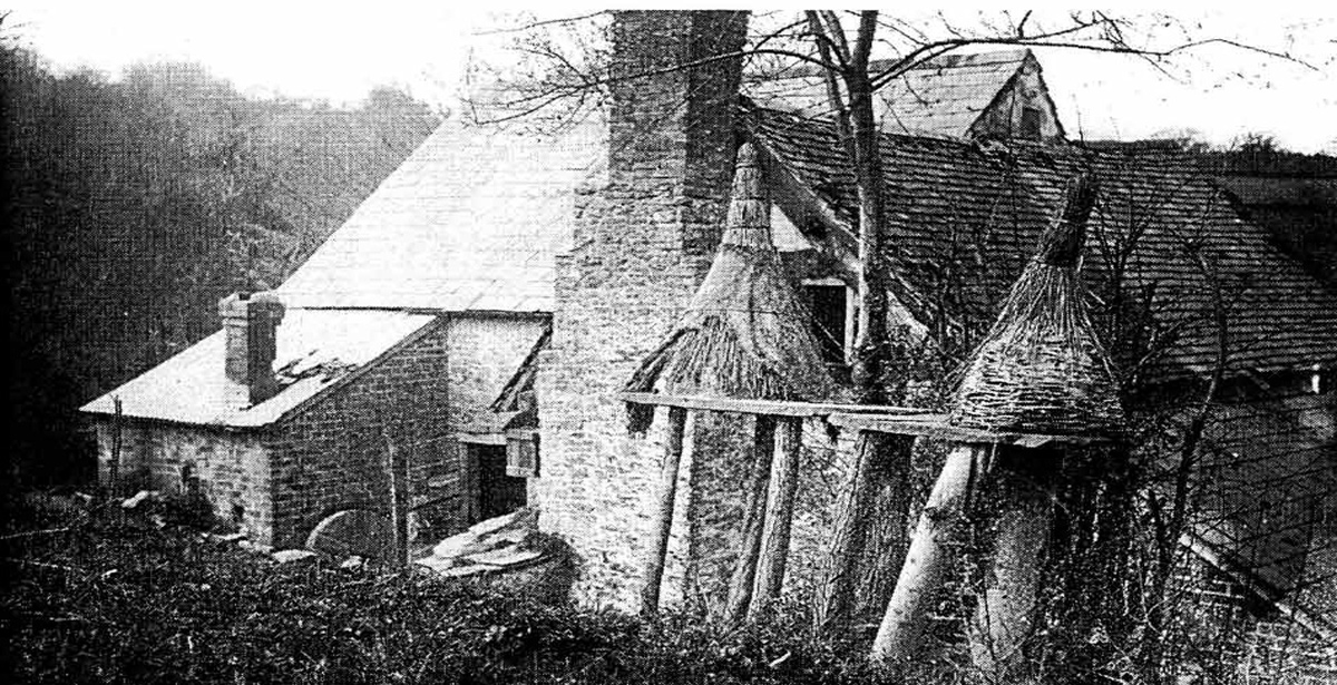 old skeps