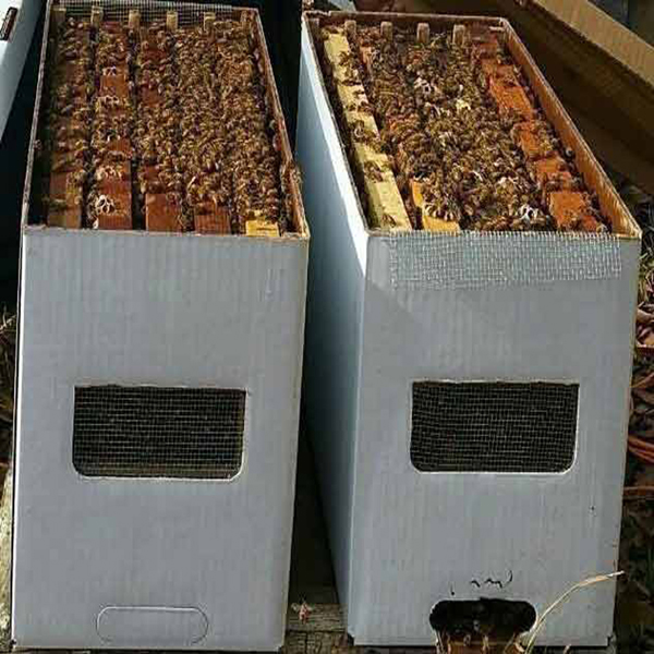 nuc